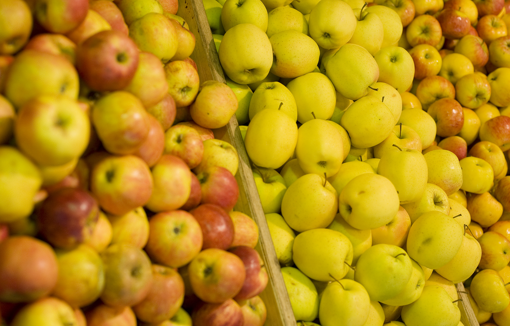 MHI_Apfel_inpublic_2_.jpg